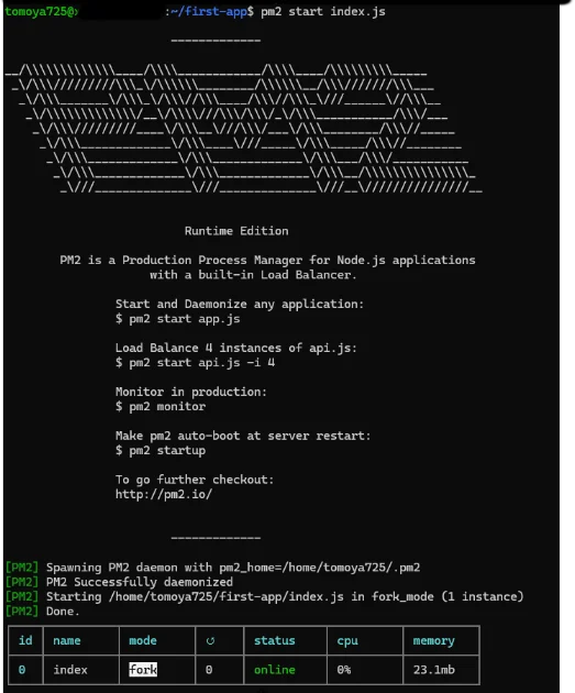 pm2 start index.js コマンドを実行し、PM2プロセス管理下でNode.jsアプリがonline状態になったターミナル画面