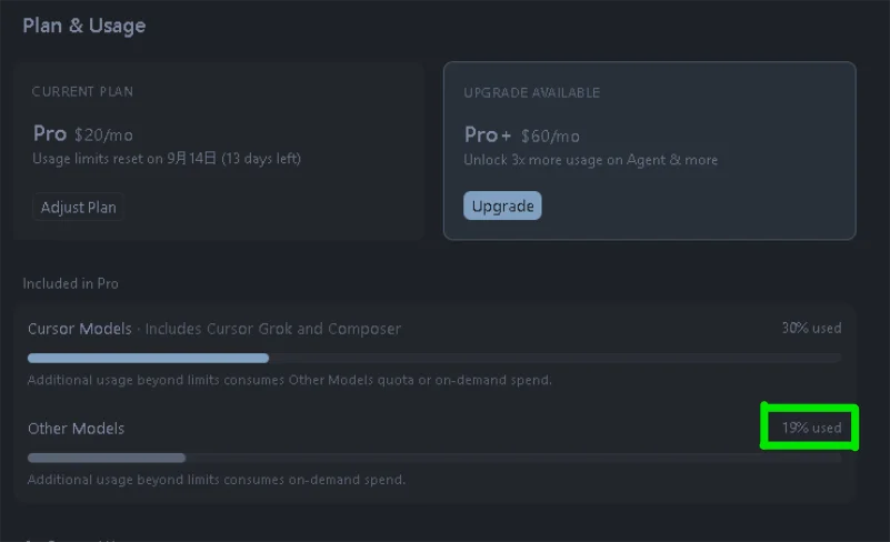 Cursorの「Plan & Usage」設定画面で「Other Models」の使用量が「19% used」と表示されている画面